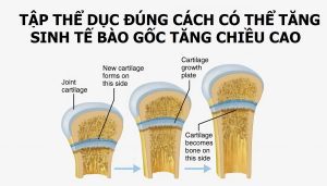 tập thể dụng đúng cách